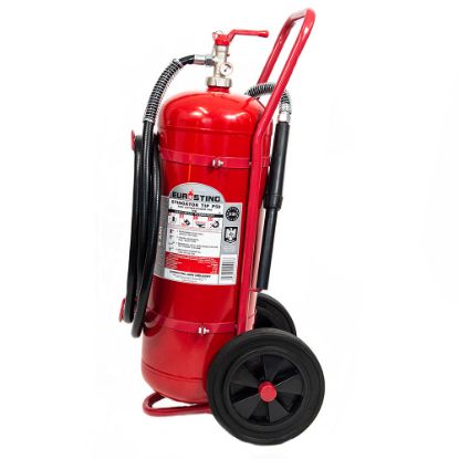 Poza cu Stingator transportabil presurizat permanent cu pulbere ABC P50