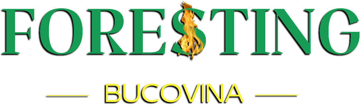 Foresting Bucovina