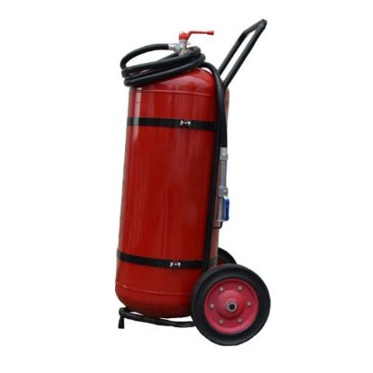 Poza cu Stingator P100