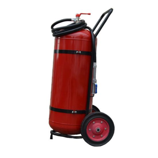 Poza cu Stingator P100