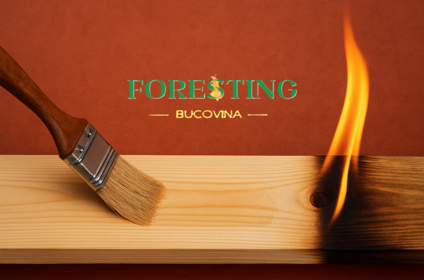 Rolul ignifugării în reducerea riscului de incendiu